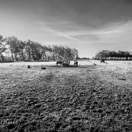 De Bimd Hoeve Nocleg ze śniadaniem