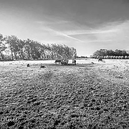 De Bimd Hoeve Bed & Breakfast