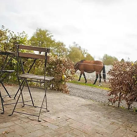 Bed & Breakfast De Bimd Hoeve *