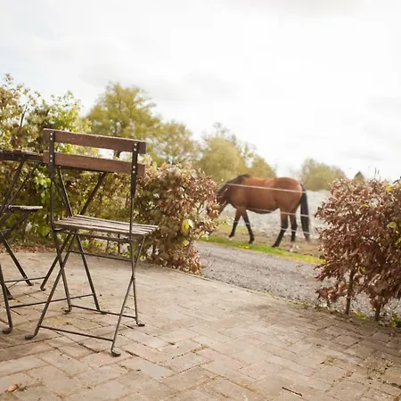 Bed & Breakfast De Bimd Hoeve De Bus