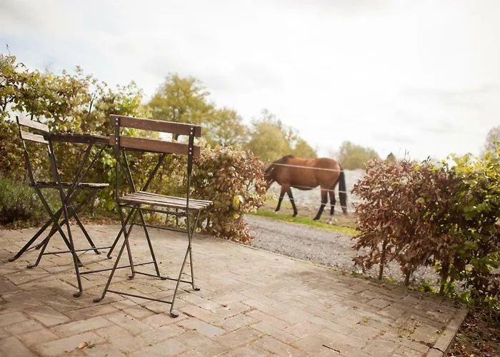 Bed and breakfast De Bimd Hoeve De Bus
