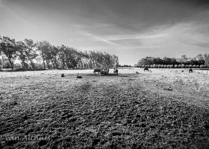 De Bimd Hoeve Frühstückspension